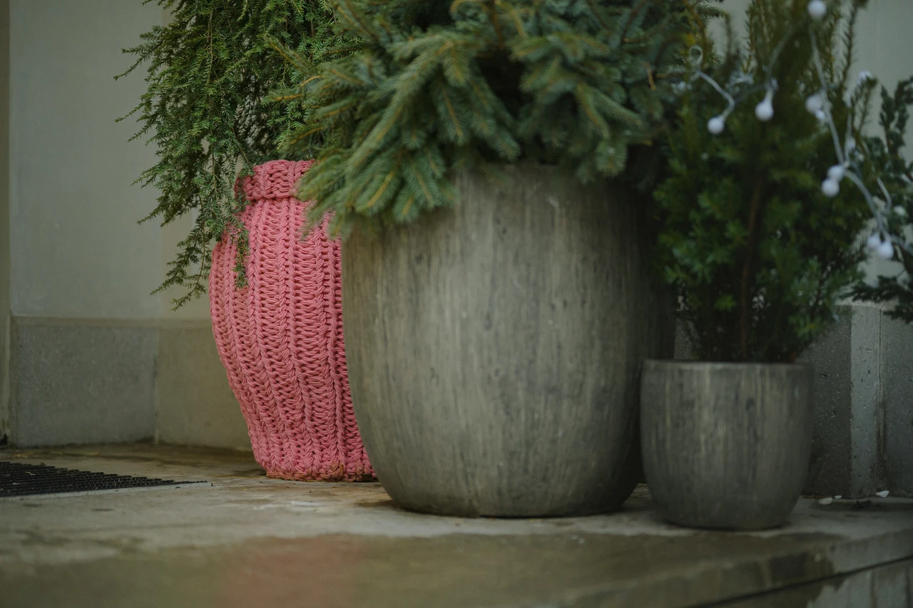 Perché i vasi si crepano? Il trucco per recuperarli facilmente