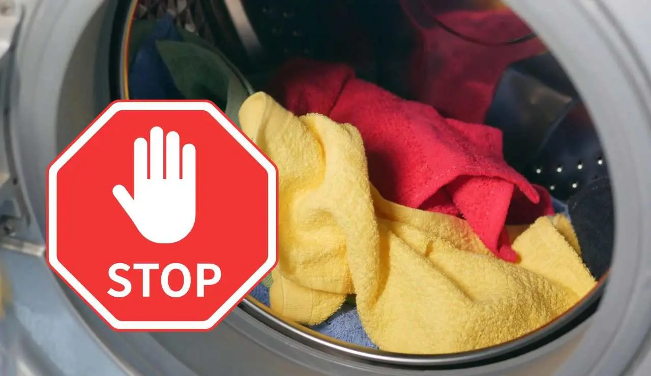 Usi il programma Eco della lavatrice? Ecco cosa succede davvero ai tuoi vestiti e ai consumi