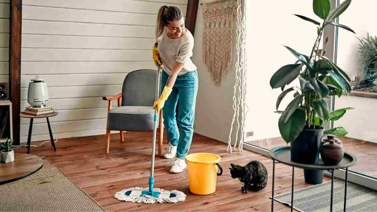 Quali sono i posti della casa che dimentichiamo sempre di pulire? La lista delle zone più sporche